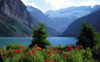 Golden Vibrant Wallpaper Nature Wallpaper 4K 1680x1050 A, Vibrant, Landscape, Featuring, Lush, Greenery, Colorful, Flowers, Serene, Lake, Framed, Majestic, White, Gray, Ultrawide