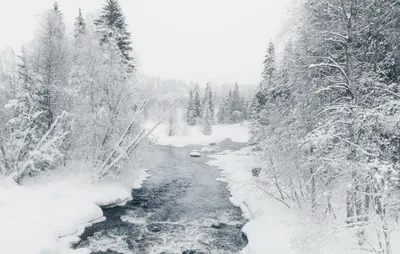 Vibrant Winter Wallpaper Nature Wallpaper 4K 2048x1300 Hd, Desktop, Wallpaper, Of, A, Winter, River, Flowing, Through, Snow-covered, Forest, Nature, White, Ultrawide, Full HD