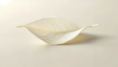 Moody Serene Wallpaper Minimal Wallpaper 4K 4344x2472 A, Serene, Minimalist, White, Tea, Leaf, Gracefully, Rests, Soft, Captured, Stunning, Ultra, Ultrawide, 4k