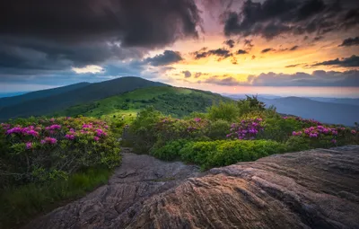 Calm Breathtaking Wallpaper Nature Wallpaper 4K 2048x1304 A, Breathtaking, Hd, Wallpaper, Of, Serene, Landscape, Mountain, Pink, Flowers, Foreground, Dramatic, White, Ultrawide, Full HD