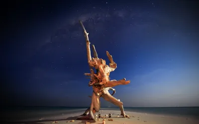 Bright Driftwood Wallpaper Nature Wallpaper 4K 2560x1600 Hd, Wallpaper, Featuring, Driftwood, On, A, Beach, At, Night, Milky, Way, Arching, Brown, Gray, Ultrawide, QHD