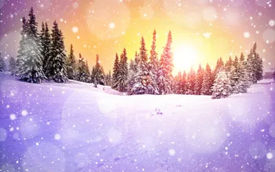 Winter Themed Snowy Nature Wallpaper 4K 3840x2400 Hd, Winter-themed, Desktop, Wallpaper, Featuring, A, Snowy, Landscape, Evergreen, Trees, Colorful, Sunset, White, Ultrawide, 4k
