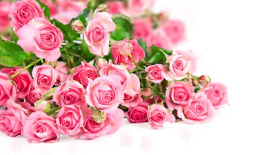 Dreamy Vibrant Wallpaper Nature Wallpaper 4K 5063x2847 A, Vibrant, Arrangement, Of, Pink, Roses, Showcases, The, Beauty, Nature, Enhanced, Rich, White, Ultrawide, 4k