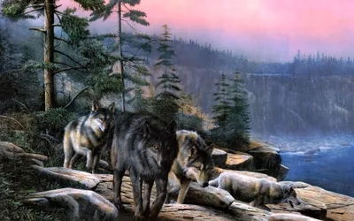 Misty Serene Wallpaper Nature Wallpaper 4K 2291x1432 A, Serene, Hd, Wallpaper, Featuring, Group, Of, Wolves, Amidst, Picturesque, Landscape, Trees, White, Ultrawide, Full HD