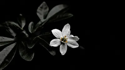 General 1920x1080 Abstract Abstract Wallpaper 4K 1920x1080 Wallpaper, General, 1920x1080, Gray, Ultrawide, Full HD