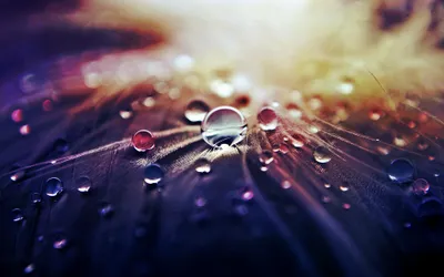 Vibrant Water Drops Glistening Abstract Wallpaper 4K 3840x2400 Hd, Wallpaper, Of, Vibrant, Water, Drops, Glistening, On, Surface, Creating, Tranquil, White, Ultrawide, 4k