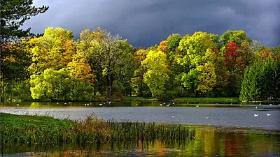 Calm Vibrant Wallpaper Nature Wallpaper 4K 1920x1080 Hd, Pc, Desktop, Wallpaper, Featuring, A, Vibrant, Autumn, Landscape, Colorful, Trees, Calm, Gray, Brown, Ultrawide, Full HD