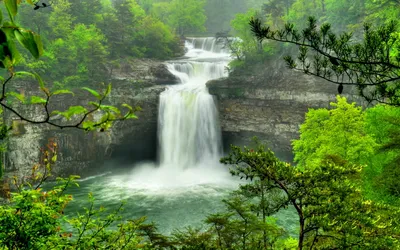 Nature Waterfall Lush Green Forest Nature Wallpaper 4K 1920x1200 Hd, Nature, Wallpaper, Featuring, A, Stunning, Waterfall, In, Lush, Green, Forest, Cascading, White, Ultrawide, Full HD