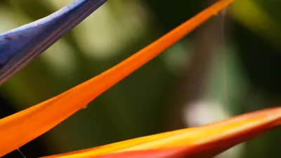 Radiant General Wallpaper Abstract Wallpaper 4K 4912x2763 Wallpaper, General, 4912x2763, Orange, Gray, Ultrawide, 4k