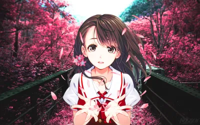 Bold Anime Wallpaper Abstract Wallpaper 4K 2560x1600 Anime, 2560x1600, White, Ultrawide, QHD