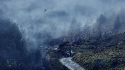 Landscape Photography Misty Nature Wallpaper 4K 1920x1080 Hd, Landscape, Photography, Of, A, Misty, Forest, Path, Solitary, Figure, Walking, Along, Gray, Ultrawide, Full HD