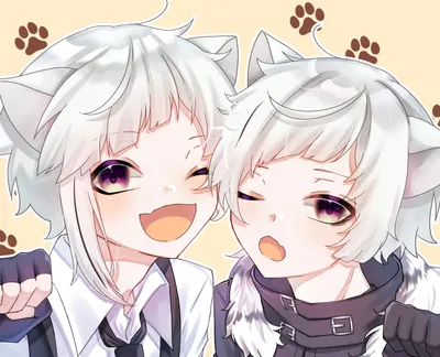 Atsushi Nakajima Bungou Stray Animals Wallpaper 4K 2709x2199 Atsushi, Nakajima, Bungou, Stray, Dogs, As, White-haired, Cat-eared, Twins, Laughing, White, Square, QHD