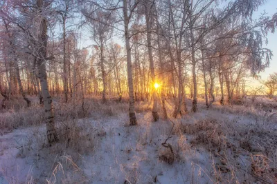Serene General Wallpaper Abstract Wallpaper 4K 2399x1600 Wallpaper, General, 2399x1600, Gray, Landscape, Full HD