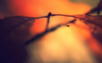 Serene General Wallpaper Abstract Wallpaper 4K 2560x1600 Wallpaper, General, 2560x1600, Orange, Purple, Ultrawide, QHD