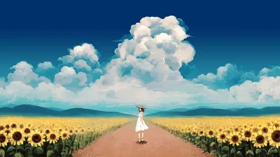 Anime Field Wallpaperaccess Wallpaper 4K, Abstract category
