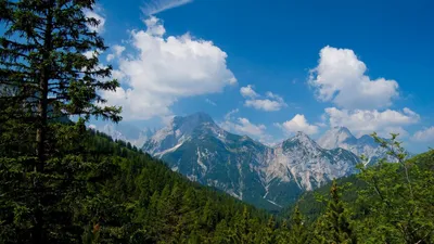 Vibrant Green Forest Towering Nature Wallpaper 4K 1920x1080 Hd, Desktop, Wallpaper, Showcasing, A, Vibrant, Green, Forest, Towering, Trees, Set, Against, Red, Ultrawide, Full HD