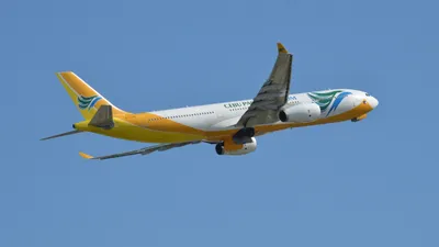Airbus A330 Passenger Plane Nature Wallpaper 4K 2560x1440 Hd, Desktop, Wallpaper, Of, An, Airbus, A330, Passenger, Plane, Flight, Against, Clear, Gray, Ultrawide, QHD