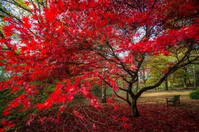 Serene General Wallpaper Abstract Wallpaper 4K 2048x1365 Wallpaper, General, 2048x1365, Red, Brown, Ultrawide, Full HD