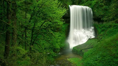 Serene Serene Wallpaper Nature Wallpaper 4K 1920x1080 A, Serene, Waterfall, Cascades, Through, Lush, Green, Forest, Oregon, Usa, Surrounded, Vibrant, Gray, White, Ultrawide, Full HD