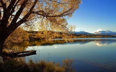 Serene Lakeside Golden Nature Wallpaper 4K 1680x1050 A, Serene, Lakeside, View, Featuring, Golden, Tree, Reflecting, Calm, Water, Framed, Distant, Gray, Ultrawide