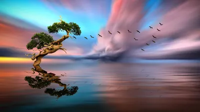 Vibrant Serene Wallpaper Nature Wallpaper 4K 2000x1125 A, Serene, Sunset, Casts, Vibrant, Colors, Across, The, Sky, Reflecting, Tranquil, Lake, Gray, Ultrawide, Full HD