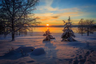 Depicting Winter Nature Nature Wallpaper 4K 4503x3002 Hd, Desktop, Wallpaper, Depicting, A, Winter, Nature, Scene, Snow-covered, Trees, Sunset, Sun, Gray, Landscape, 4k
