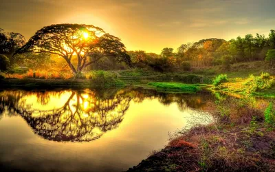Serene Sunrise Calm Nature Wallpaper 4K 1920x1200 A, Serene, Sunrise, Over, Calm, Lake, Reflecting, Silhouette, Majestic, Tree, Surrounded, Lush, Orange, Purple, Ultrawide, Full HD