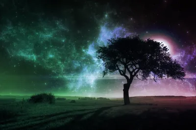 Golden Solitary Wallpaper Nature Wallpaper 4K 2500x1667 A, Solitary, Tree, Under, Vibrant, Mystical, Night, Sky, Swirling, Green, Purple, Hues, Gray, Landscape, Full HD