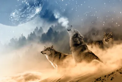 Fantasy Three Wolves Howling Space Wallpaper 4K 2760x1840 A, Stunning, Hd, Fantasy, Wallpaper, Featuring, Three, Wolves, Howling, Under, Glowing, Moon, Gray, Pink, Landscape, QHD