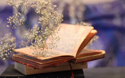 Vibrant Open Wallpaper Nature Wallpaper 4K 2560x1600 An, Open, Book, Adorned, With, Delicate, Flowers, Rests, Stack, Books, Set, Against, White, Ultrawide, QHD