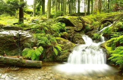 Crisp Nature Wallpaper Nature Wallpaper 4K 2037x1316 Hd, Nature, Desktop, Wallpaper, Showcasing, A, Serene, Forest, Stream, Flowing, Over, Moss-covered, White, Ultrawide, Full HD
