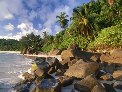 Bright Scenic Wallpaper Nature Wallpaper 4K 1600x1200 A, Scenic, Beach, With, Lush, Greenery, Rocky, Shoreline, Clear, Blue, Sky, Captured, Gray, Landscape