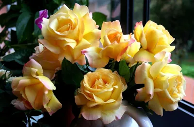 Sleek Vibrant Wallpaper Abstract Wallpaper 4K 2560x1674 Hd, Desktop, Wallpaper:, Showcasing, A, Vibrant, Bouquet, Of, Yellow, Roses, Bloom, Set, Brown, White, Orange, Ultrawide, QHD