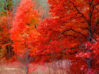Serene Vibrant Wallpaper Nature Wallpaper 4K 1600x1200 Hd, Desktop, Wallpaper:, Featuring, A, Vibrant, Artistic, Depiction, Nature, Bright, Red, Orange, Brown, Landscape