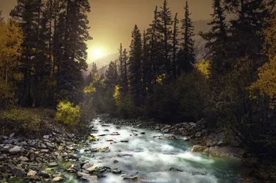 Dreamy Serene Wallpaper Nature Wallpaper 4K 2048x1365 Hd, Wallpaper, Of, A, Serene, Forest, At, Sunrise, Flowing, River, Tall, Trees, Brown, Gray, Ultrawide, Full HD