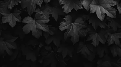 Dark Aesthetic Monochrome Pattern Black/Dark Wallpaper 4K 2912x1632 Dark, Aesthetic, Hd, Desktop, Wallpaper, Featuring, A, Monochrome, Pattern, Overlapping, Leaves, Sophisticated, Ultrawide, QHD