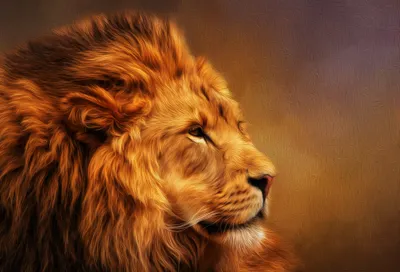 Crisp Oil Wallpaper Animals Wallpaper 4K 2048x1392 Hd, Oil, Painting, Of, A, Majestic, Lion, In, Warm, Tones, Designed, Detailed, Orange, Landscape, Full HD