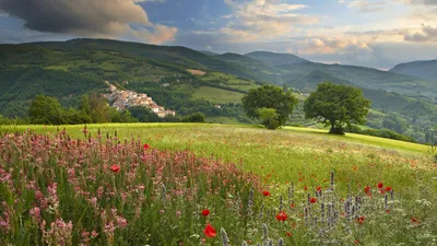 Vibrant Spring Landscape Colorful Wildflowers Nature Wallpaper 4K 1920x1080 A, Vibrant, Spring, Landscape, Featuring, Colorful, Wildflowers, In, Field, Trees, Village, Nestled, Gray, Orange, Brown, Ultrawide, Full HD