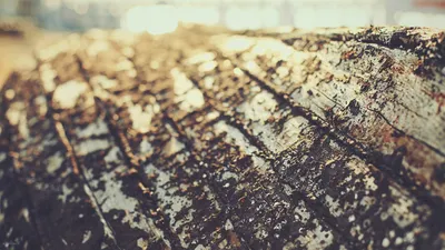 Sleek General Wallpaper Abstract Wallpaper 4K 2560x1440 Wallpaper, General, 2560x1440, White, Ultrawide, QHD