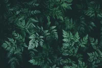 Epic General Wallpaper Abstract Wallpaper 4K 1920x1276 Wallpaper, General, 1920x1276, Brown, Gray, Ultrawide, Full HD
