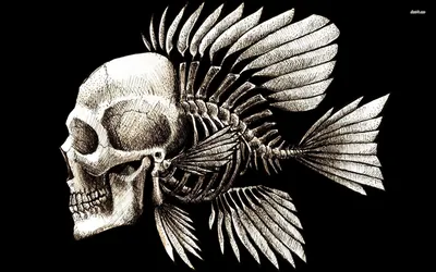 Dark Surreal Skull Fused Black/Dark Wallpaper 4K 1920x1200 Hd, Pc, Desktop, Wallpaper, Featuring, A, Dark, Surreal, Skull, Fused, Intricate, Fish, White, Ultrawide, Full HD