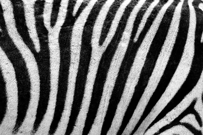 General 1280x853 Abstract Abstract Wallpaper 4K 1280x853 Wallpaper, General, 1280x853, White, Ultrawide