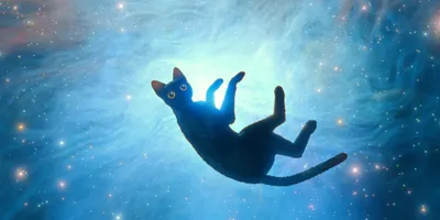 Serene Black Wallpaper Animals Wallpaper 4K 4096x2048 A, Black, Cat, Floats, In, Cosmic, Background, Filled, Stars, Vibrant, Colors, Showcasing, White, Gray, Ultrawide, 4k