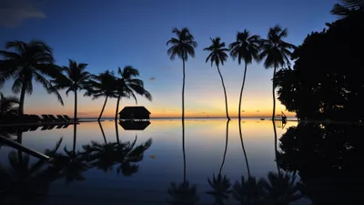 Bold Serene Wallpaper Nature Wallpaper 4K 3840x2160 A, Serene, Sunset, Over, Tranquil, Pool, Featuring, Silhouetted, Palm, Trees, Reflecting, Water, Brown, Ultrawide, 4k