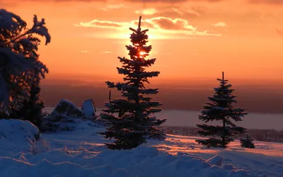 Serene Winter Landscape Nature Wallpaper 4K 2560x1600 Hd, Desktop, Wallpaper, Of, A, Serene, Winter, Landscape, Showcasing, Snow-covered, Trees, Silhouetted, Orange, Purple, Ultrawide, QHD