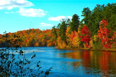 Golden Vibrant Wallpaper Nature Wallpaper 4K 3008x2000 A, Vibrant, River, Scene, Surrounded, By, Colorful, Autumn, Foliage, Under, Bright, Blue, White, Ultrawide, QHD