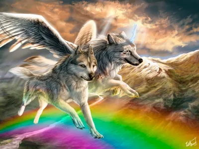 Golden Two Wallpaper Nature Wallpaper 4K 6000x4500 Hd, Desktop, Wallpaper, Of, Two, Fantastical, Wolves, With, Wings, Soaring, Over, Rainbow, Gray, Orange, Landscape, 4k