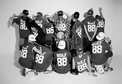 Black White Exo Animals Wallpaper 4K 5472x3744 Black, And, White, Hd, Desktop, Wallpaper, Featuring, Exo, Members, Jerseys, Wolf, Written, Landscape, 4k