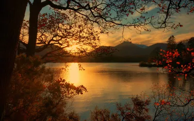 Serene Sunset Tranquil Nature Wallpaper 4K 1920x1200 A, Serene, Sunset, Over, Tranquil, Lake, Framed, Autumn, Trees, Showcasing, Vivid, Fall, Brown, Orange, Gray, Ultrawide, Full HD