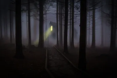Dark Fog Filled Forest Nature Wallpaper 4K 5834x3889 5k, Ultra, Hd, Pc, Desktop, Wallpaper/background:, Dark, Fog-filled, Forest, Narrow, Path, Leading, Gray, Brown, Ultrawide, 4k